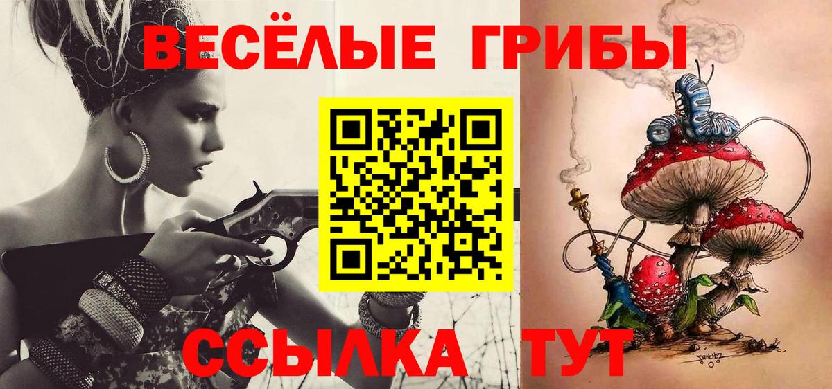 Псилоцибиновые грибы Psilocybine cubensis  Вход с VPN  Галлюциногенные грибы прущие грибы  Назрань 