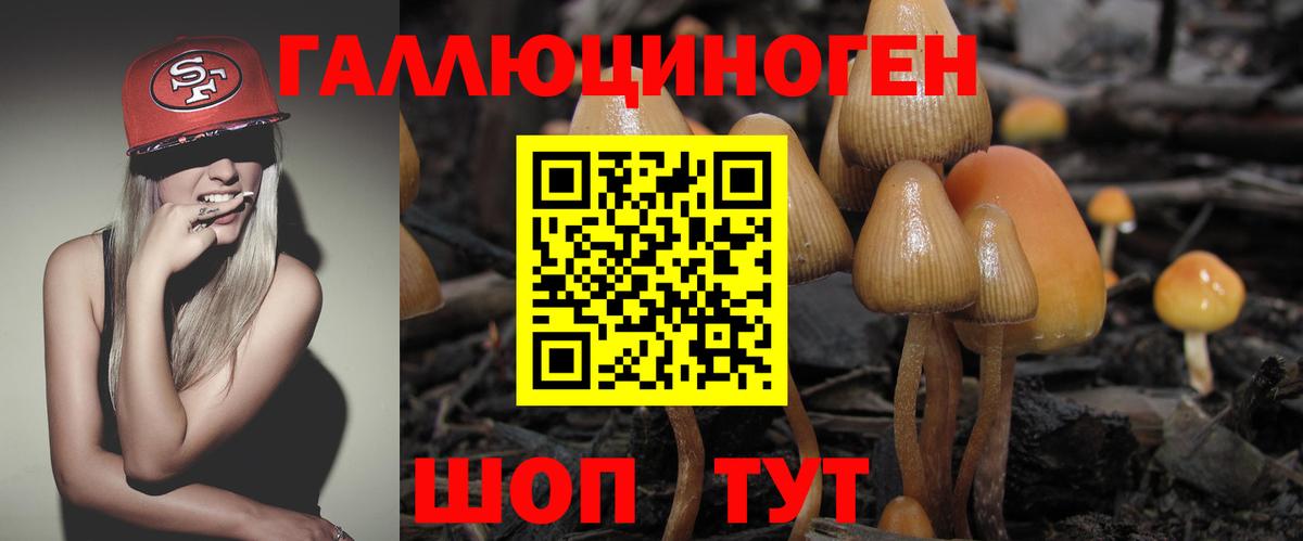 Галлюциногенные грибы Psilocybe Назрань
